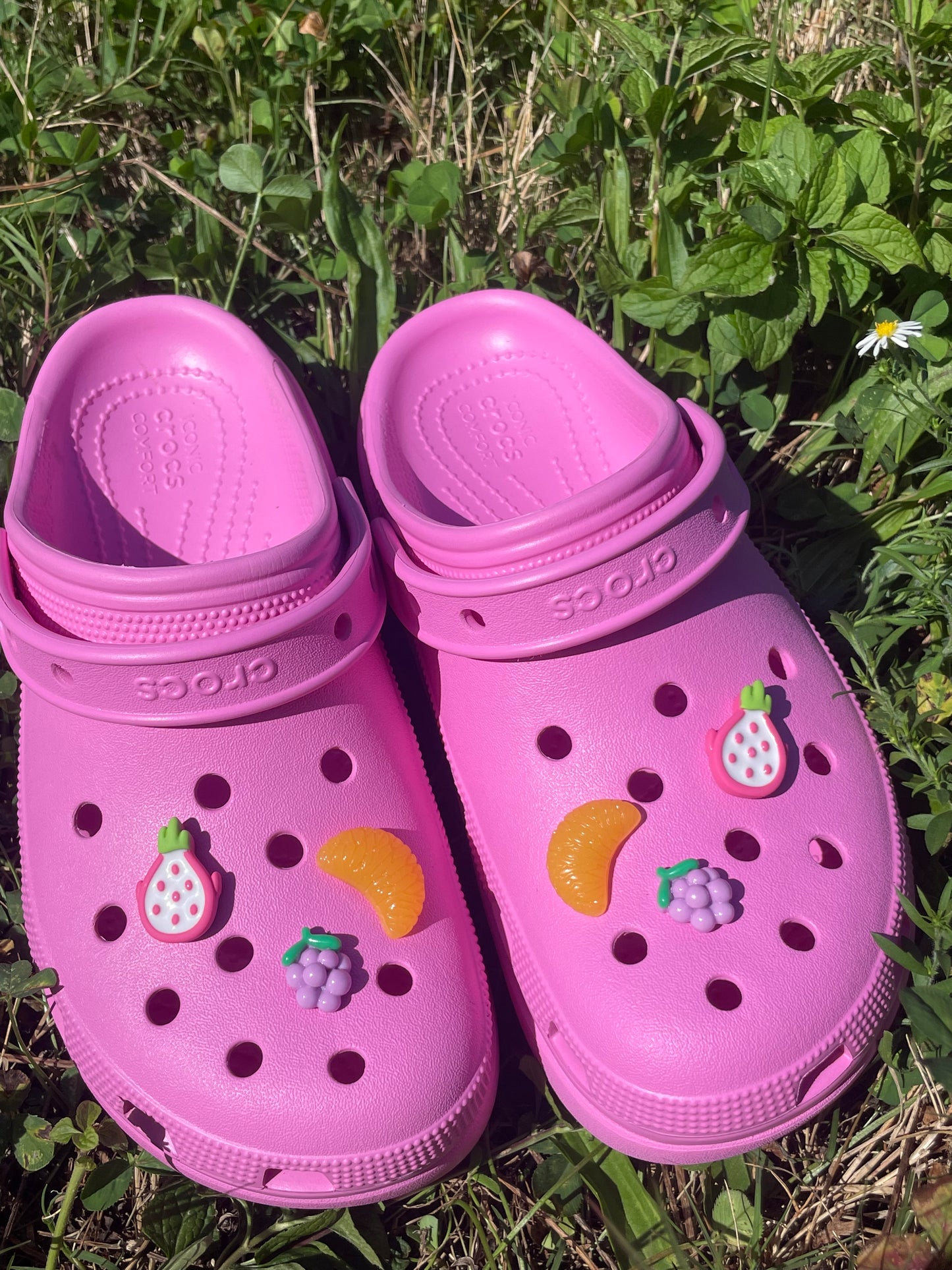 Fruit Charms for Crocs