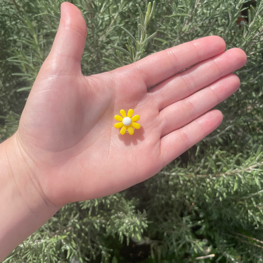 Springtime Croc Charms