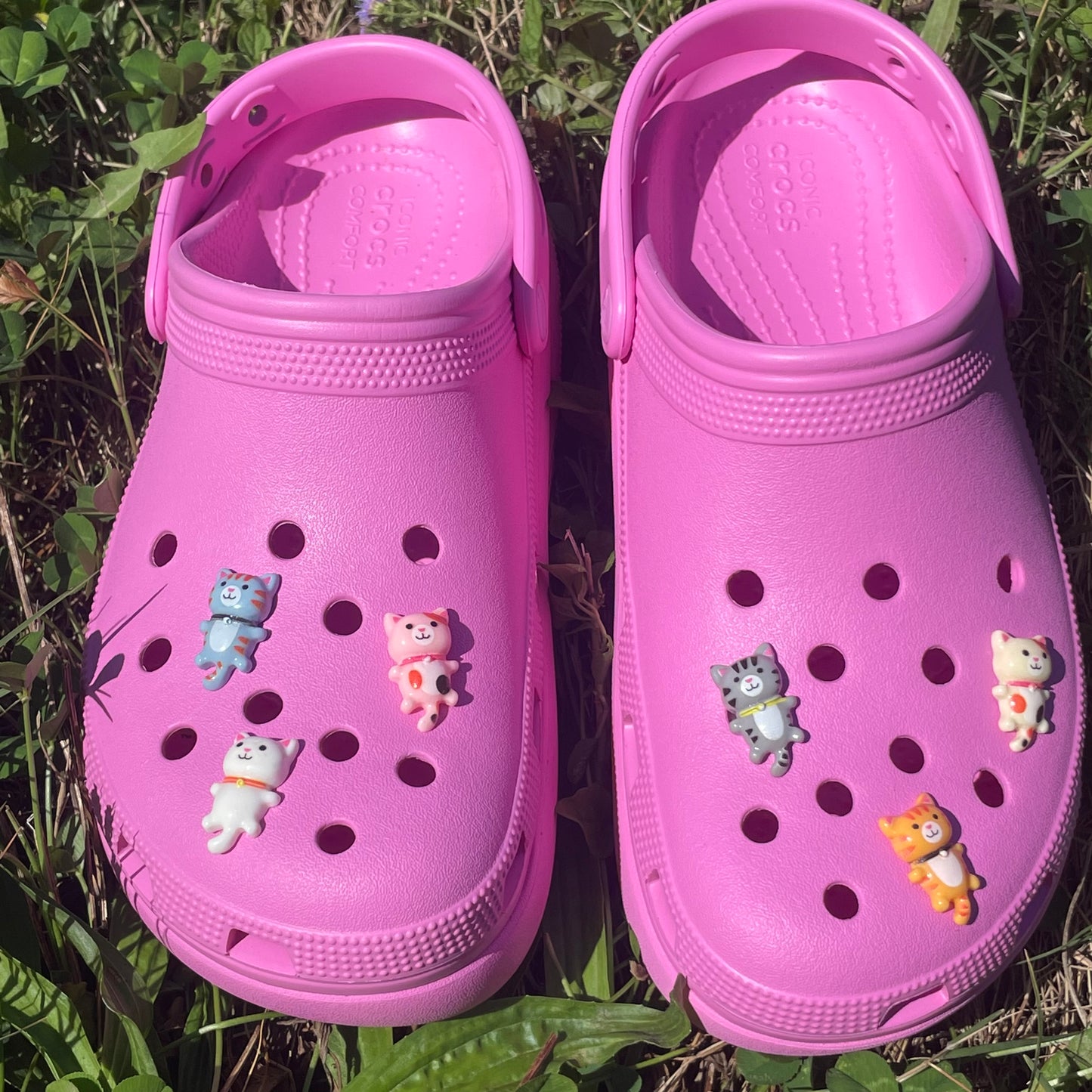 Mini Kitty Croc Charms